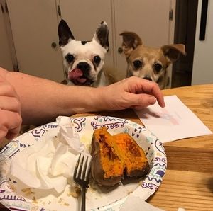 Meet your Posher, Terri